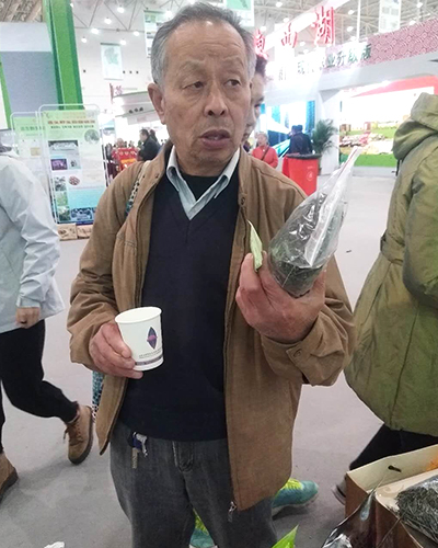 湖北綠茶廠家